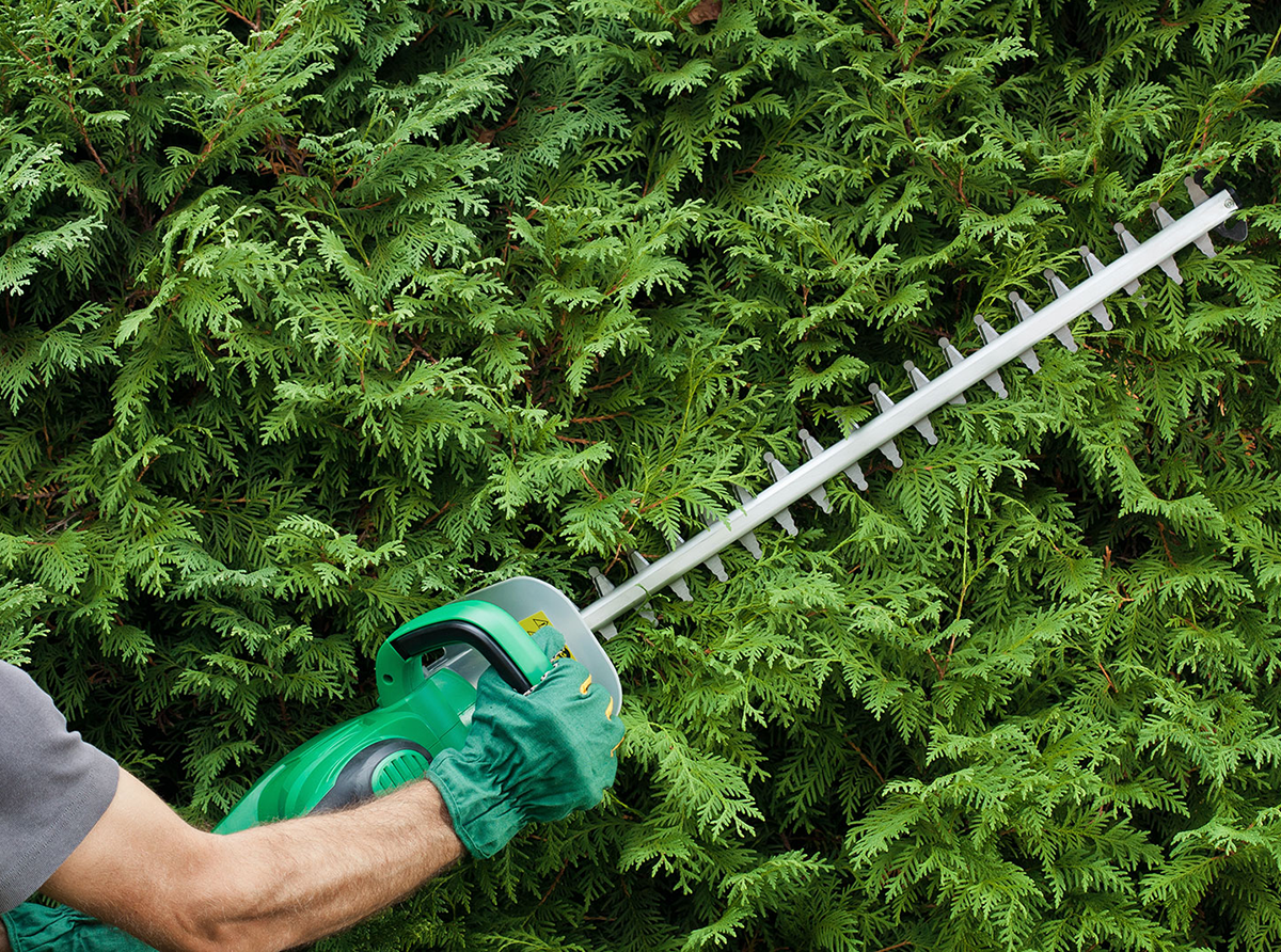 Hedge Trimming