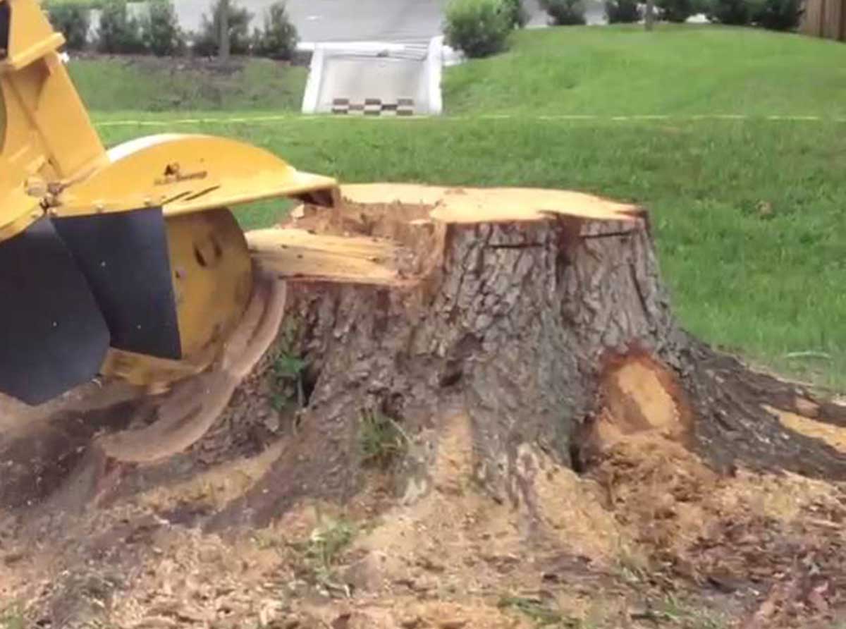 Stump Grinding